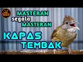MASTERAN WAJIB KAPAS TEMBAK GACOR AUDIO JELAS COCOK BUAT ISIAN SEGALA JENIS BURUNG KICAU