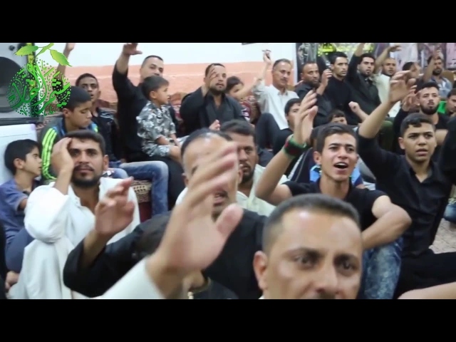 ⁣الشيخ ميثم تمار مجلس في الديوانية