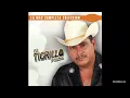 LOS CHIQUINARCOS, - EL TIGRILLO PALMA-