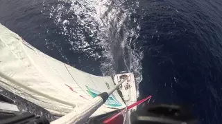 Top of an Open 60 Mast