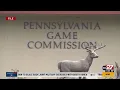 Pennsylvania Game Commission deputy wardens voice concerns after program s abrupt ending