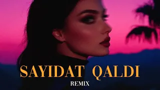 Haneen Elshater Sayidat Qaldi Elyxo Remix 