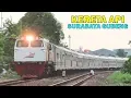 Download Lagu Kumpulan Kereta Api Elit di Stasiun Surabaya Gubeng : Bangunkarta, Turangga, Bima, Ranggajati