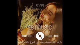 یارب چه میبینم مگر آن شوخ دلدار آمده 