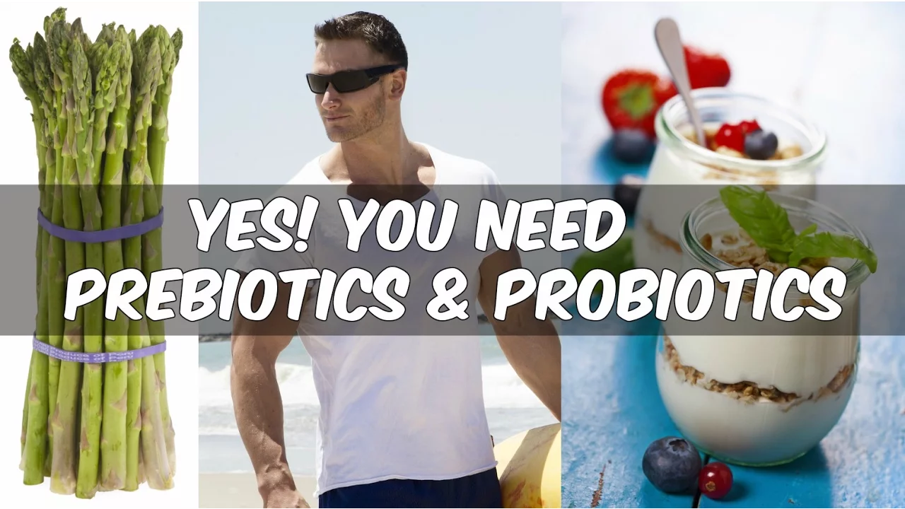 How to Fix Your Gut Bacteria for Weight Loss: Prebiotics and Probiotics- Thomas DeLauer