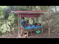 Download Lagu camping hujan deras di hutan