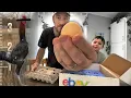 Hatching the TALLEST chickens on eBay KEBONNIXS 12 Egg Incubator