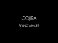 Gojira - Flying Whales [Lyrics Video]