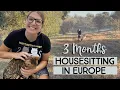 Housesitting in Europe - Free Accomodation Lots of Fun Trusted Housesitters