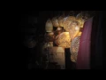 محمود العسيلى - اوعى تخاف (حصريا) | 2016 | (Mahmoud El Esseily - Ew3a Tkhaf (EXCLUSIVE Lyric Clip