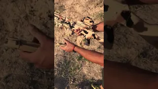 تم تقصير صيني وتدللون حي الله التفاكة 