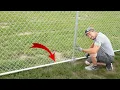 Make It HARDER For Your Dog To Dig Under Your Fence