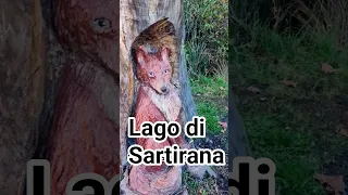Lago Di Sartirana Italy Travel Travelvlog Song Travelshorts Viral Vlog Indianvlogger Milan  Lago Di Sartirana Italy Travel Travelvlog Song Travelshorts Viral Vlog Indianvlogger Milan