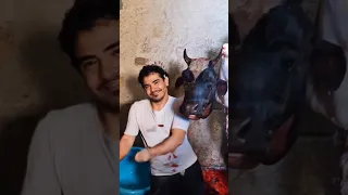 استاذه فتكات  لايك  حالات واتس  تصميم فيديوهات  مهرجانات  دويتو دندنها