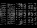 Binary Numbers Alpha Overlay 4K Free Stock
