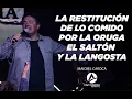 Maickel Caroca La restitucion de lo comido por la oruga el salton y la langosta Caf Church