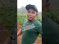 Download Lagu tanjakan tanah merah