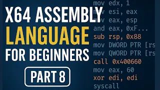 Stack Fundamentals in x64 Assembly - Beginner Lecture 8