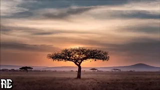thousand sounds u0026 afro brotherz phaleng original mix 