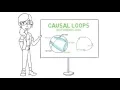 Introduction to Causal Loops