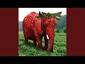 Download Lagu Strawberry Elephant MP3