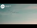 24kGoldn - Love Or Lust (Lyrics)