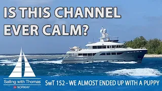 IS THIS CHANNEL EVER CALM? – SwT 152- We almost ended up with a new puppy