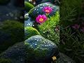 Download Lagu 🌞Good Morning 🎶Uplifting Song to Start the Day. Good Morning song.