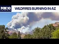 Latest on multiple wildfires burning in Arizona FOX 10 Phoenix