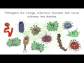 Pathogens