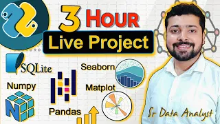 Complete Data Analytics Portfolio Project Learn How Data Analyst Work Python SQL