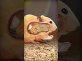 Channel