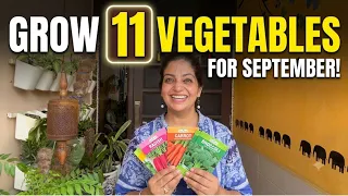 11 Best Vegetables for September | Abhi Ugayein ✨
