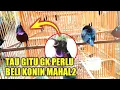 Download Lagu PADAHAL BANYAK YANG BUTUH CARA INI, KENAPA GAK DARI DULU TAU TIPS INI
