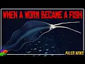 Download Lagu Ain’t No Fish Ain't No Squid! Spineless Creature Solves 50-year Mystery To Origin Of Arrow Worms!