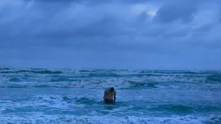                                                             دندنها