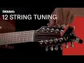 Expertly Tune Your 12-String Guitar With These Tips