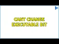 Ubuntu Cant change executable bit