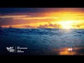 Calming instrumental guitar music · Best of Roots and Recognition, vol.3 (Solo guitar playlist)