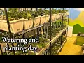Lagu Watering and planting day ￼