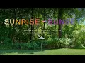 Sunrise to Sunset - All Day Ambience from the Woods Edge Storm Chance