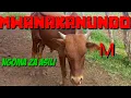 Download Lagu Mwanakanundo wigashe asili by m mlyambelele