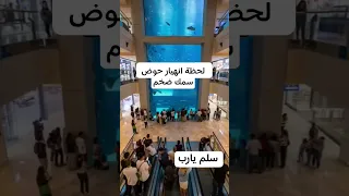 انهيار حوض سمك ضخم 