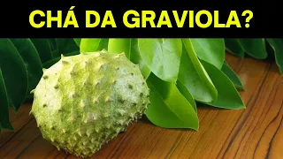 CHÁ DA GRAVIOLA MATA O DIABETES? RECEITA CASEIRA PARA DIABÉTICOS