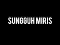 Download Lagu Kucing Langit video lirik