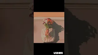 عبير نعمة أعمل ناسيني بدون موسيقى 