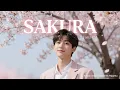 Lagu Sakura - Fariz RM (Korean Version) | PapaHiu (K-Pop Cover)