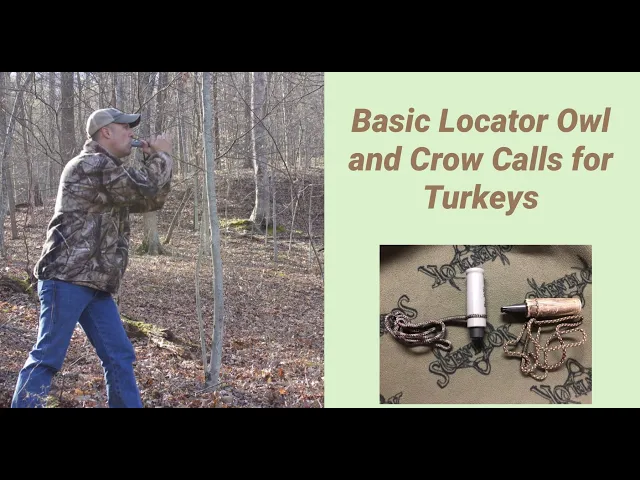 Download MP3 How to use Crow and Owl Locator Calls