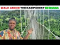 Download Lagu What It’s Really Like Visiting Kakum National Park in 2025