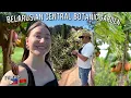 Download Lagu MGA PRUTAS NA SA TROPICAL LANG MAKIKITA  | MALA PARAISO NA LUGAR PAG TUWING SUMMER 🇧🇾